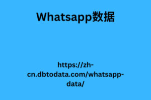 WhatsApp数据 